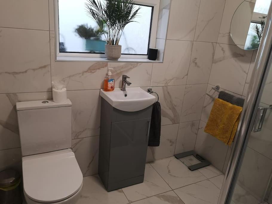Gaeltacht Quarter Cosy Home Белфаст Екстериор снимка